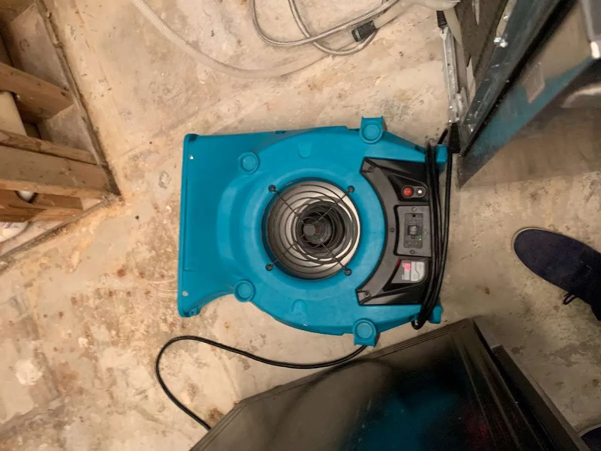 Air mover drying equipment for Mold Remediation & Removal in Robbinsville